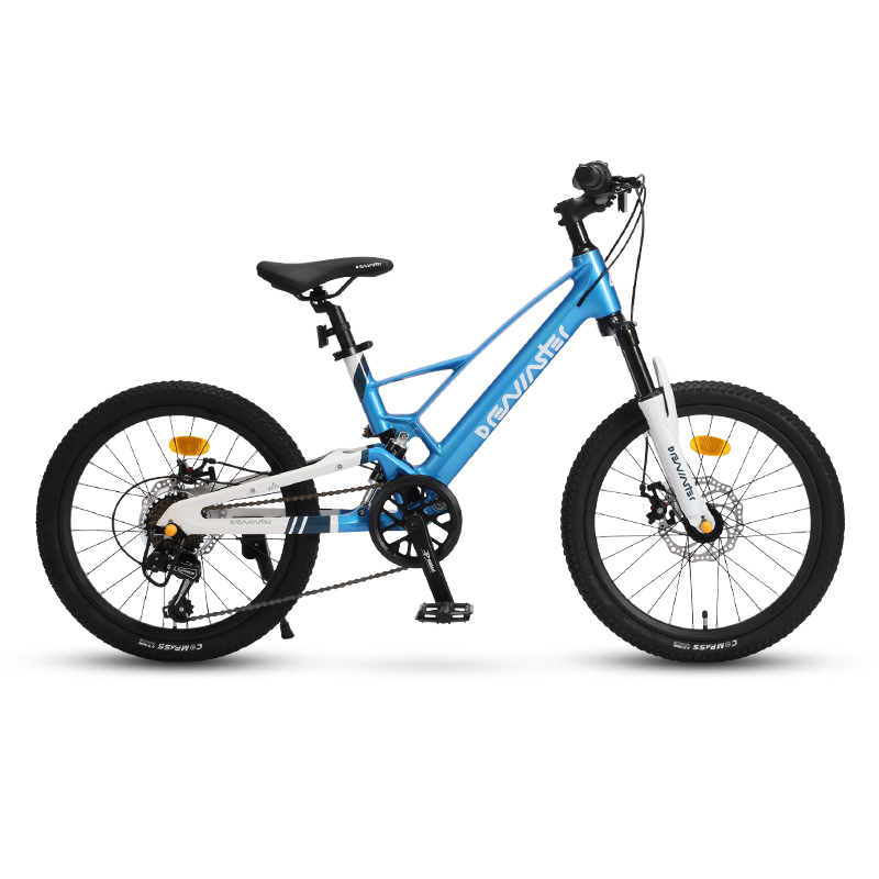 mountain  bike